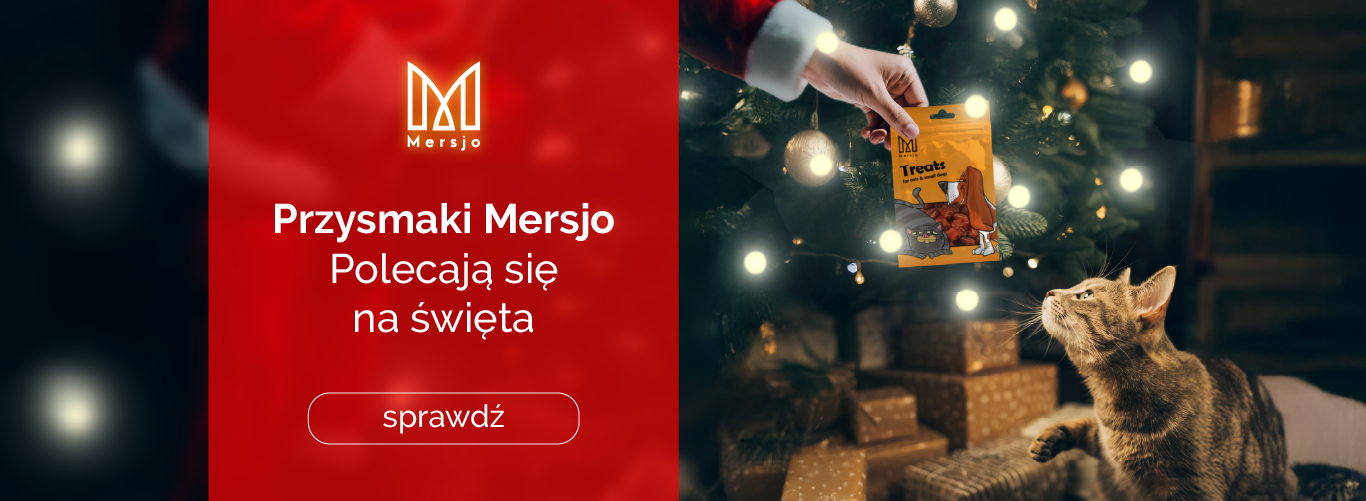 dla kotów święta
